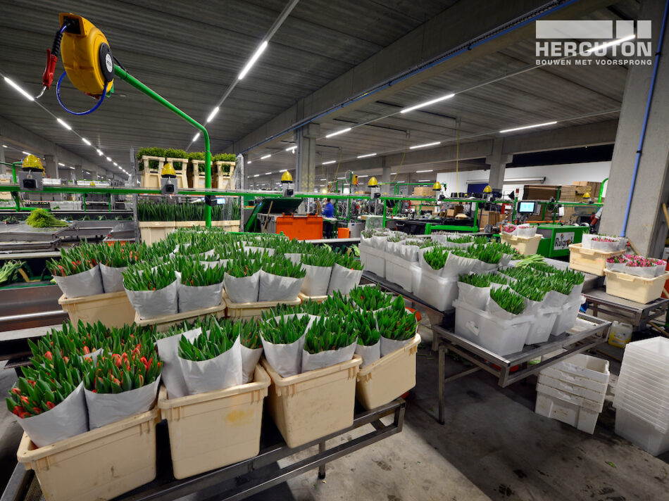 Hercuton heeft het 2-laags distributiecentrum voor L&M Rijnsburg turnkey opgeleverd.
