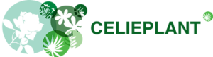 Logo Celieplant